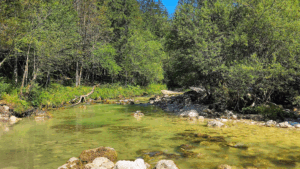 Fiume sloveno con acqua limpida