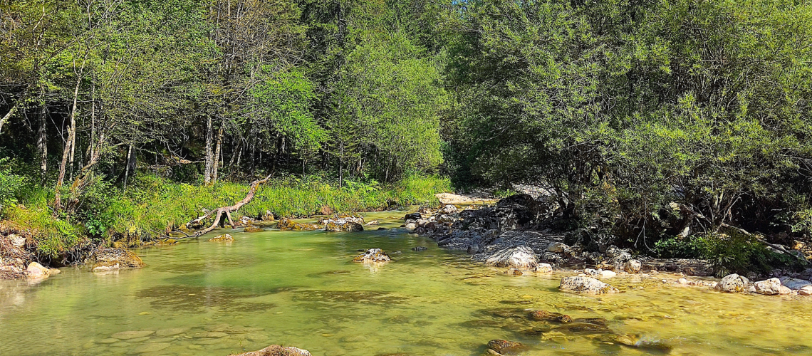 Fiume sloveno con acqua limpida